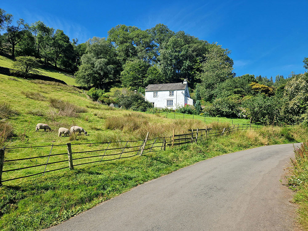 We advise on agricultural tenancies, rent reviews, tenancy renewals, end of tenancy negotiations, and succession applications, along with licences and grazing agreements.